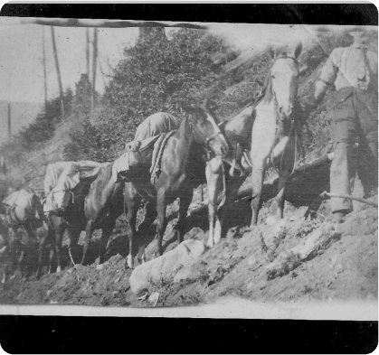 image of Pack Train, Old Detroit