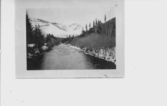 image for Looking Up Breitenbush River